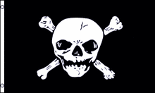 6'x1/2" Fiberglass Pole + Quick Connect + Flag of Choice